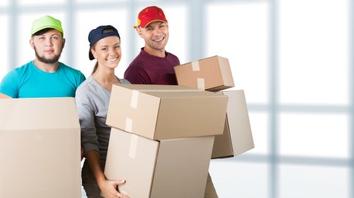 Professional man with a van support for Abbey Wood moving needs