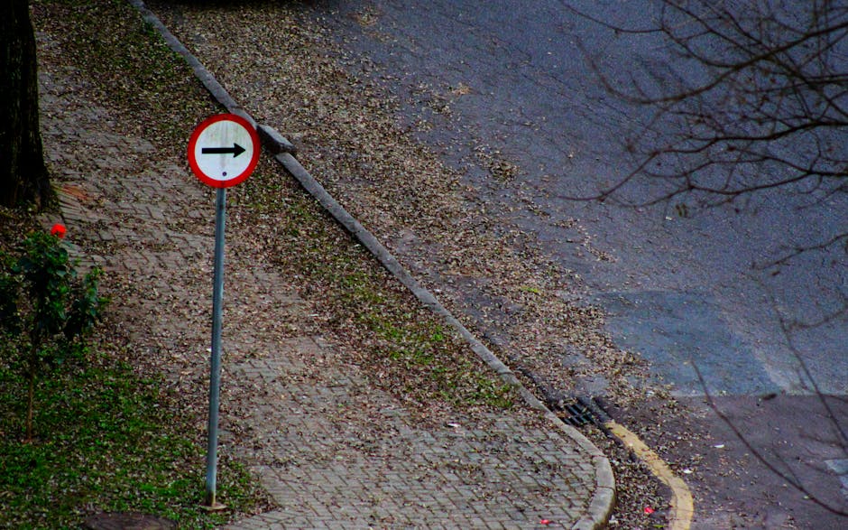 A street scene showing a sidewalk and a paved road in Abbey Wood. The sidewalk is made of small, rectangular paving stones and is adjacent to a grassy area with some small plants and a tree. There is a red and white circular traffic sign with a black arrow pointing to the right mounted on a metal pole, positioned at the corner where the sidewalk meets the edge of the road, indicating a one-way direction. The roadway has a slight incline and is partly covered with fallen leaves and small debris. A cable drain cover is visible near the curb. In the background, the road continues, and overhanging tree branches with bare twigs extend across the scene. The lighting suggests early morning or late afternoon, with soft, diffuse natural light. The scene context relates to house removals and moving services, as the area appears suitable for vehicle access and loading activities associated with home relocation tasks, with Man With a Van Abbey Wood providing clearing and transport support.