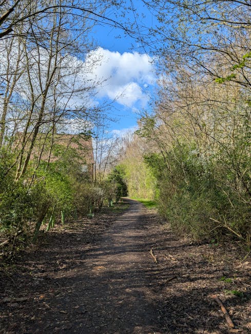 A narrow dirt pathway situated in a rural area, flanked by leafless and budding trees with green foliage on both sides. The path appears muddy with scattered twigs and fallen leaves. Overhead, the sky is bright blue with fluffy white clouds. In the background, partially obscured by trees, a brick building with a pitched roof is visible. The scene is well-lit, indicating daytime, and the environment suggests a quiet, natural setting suitable for off-road vehicle access. This type of landscape is relevant to home relocation or moving logistics involving rural or semi-rural routes, as managed by companies like Man With a Van Abbey Wood, who specialise in removals, furniture transport, and packing services.