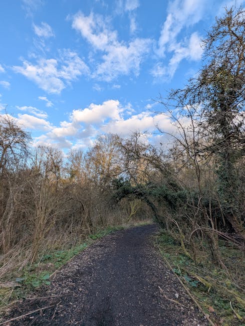 A narrow dirt pathway situated in a rural area, flanked by leafless and budding trees with green foliage on both sides. The path appears muddy with scattered twigs and fallen leaves. Overhead, the sky is bright blue with fluffy white clouds. In the background, partially obscured by trees, a brick building with a pitched roof is visible. The scene is well-lit, indicating daytime, and the environment suggests a quiet, natural setting suitable for off-road vehicle access. This type of landscape is relevant to home relocation or moving logistics involving rural or semi-rural routes, as managed by companies like Man With a Van Abbey Wood, who specialise in removals, furniture transport, and packing services.